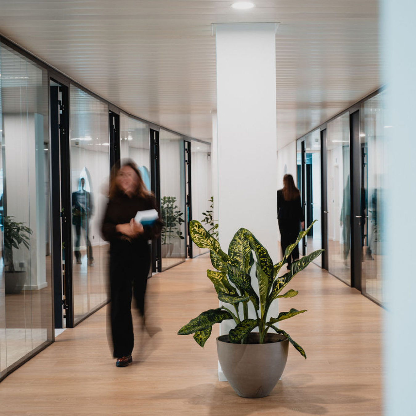 Photo prise dans les bureaux, des personnes circulent dans un couloir