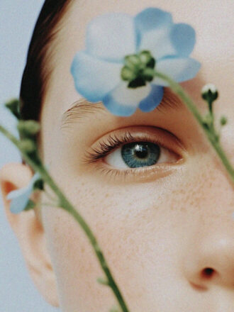 Top 5 des banques d&rsquo;images gratuites