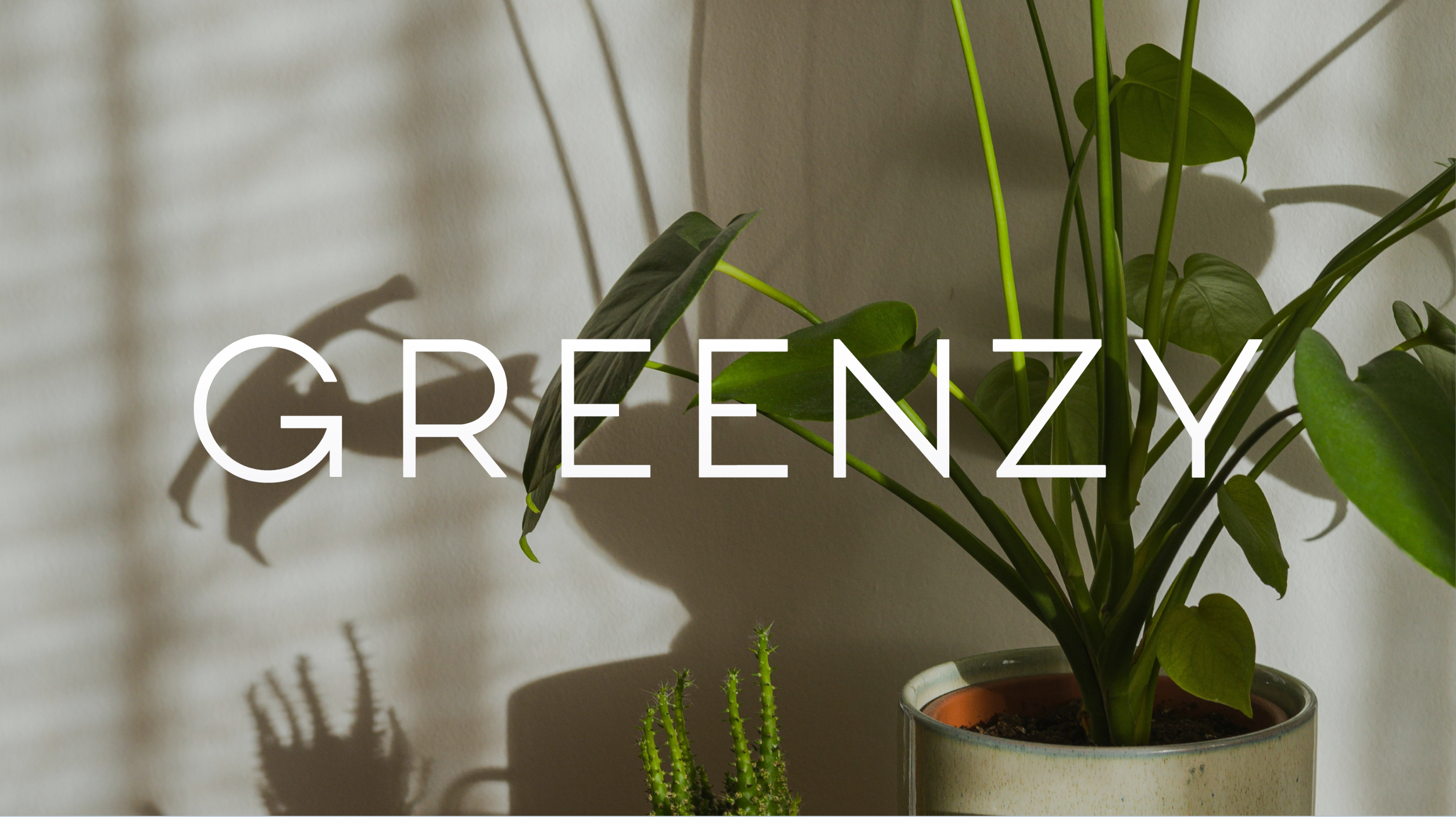 Logo Greenzy sur une image en fond. Sur l'image : de plantes d'intérieur.