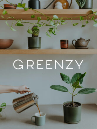 Greenzy : positionnement, stratégie et campagne de vente