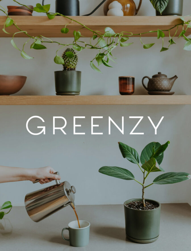 Greenzy : positionnement, stratégie et campagne de vente