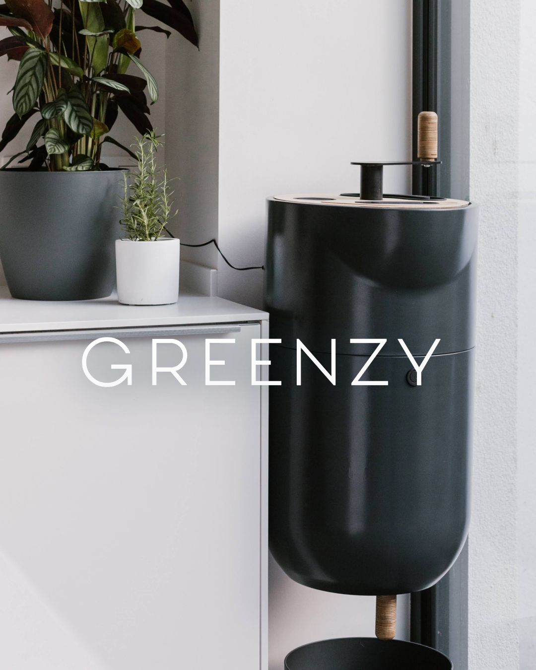 Greenzy : positionnement, stratégie et campagne de vente